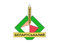 Поставка оборудования на ОАО "Беларуськалий"